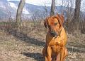 junior (19)